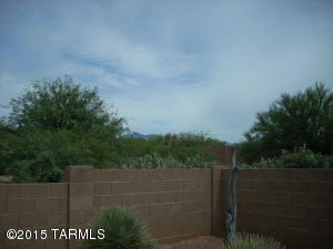 10520 S Coyote Melon Loop, Vail, AZ 85641 photo 4
