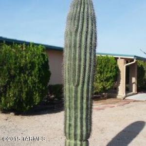 13820 E Fire Dancer Rd, Vail, AZ 85641 photo 6