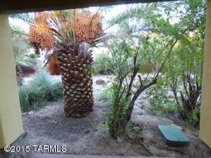 643 E 6th St, Tucson, AZ 85705 photo 37