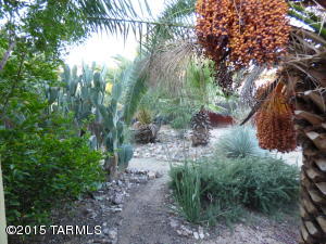 643 E 6th St, Tucson, AZ 85705 photo 38