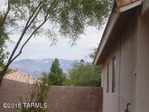 10213 E Buffaloberry Loop, Tucson, AZ 85748 photo 17