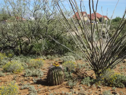 231 N Vail View Rd, Vail, AZ 85641 photo 18
