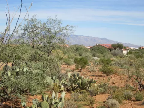 231 N Vail View Rd, Vail, AZ 85641 photo 15