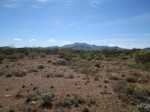 231 N Vail View Rd, Vail, AZ 85641 photo 5