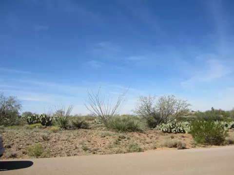 231 N Vail View Rd, Vail, AZ 85641 photo 2