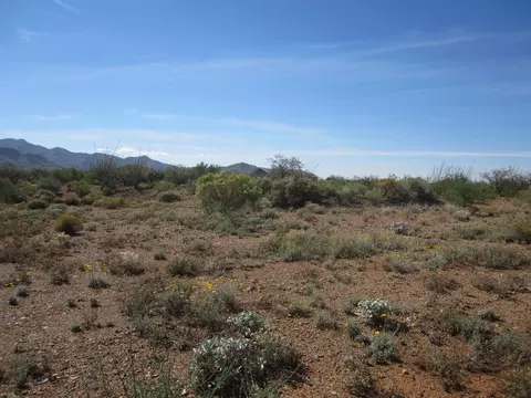 231 N Vail View Rd, Vail, AZ 85641 photo 6