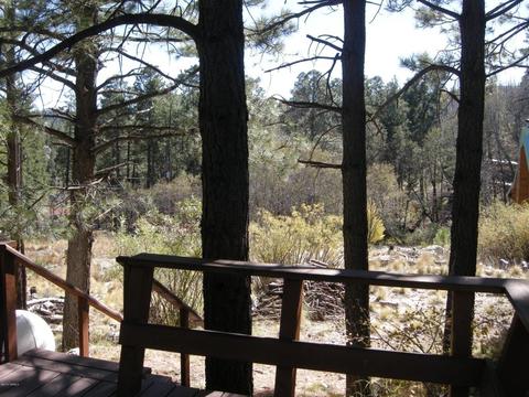 11232 E Globe St, Mount Lemmon, AZ 85619 photo 3