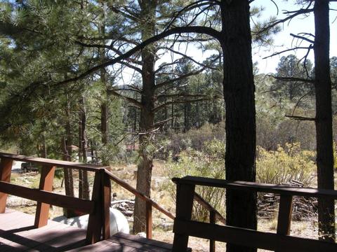 11232 E Globe St, Mount Lemmon, AZ 85619 photo 17