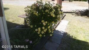 175 S Bowie Ave, Willcox, AZ 85643 photo 1