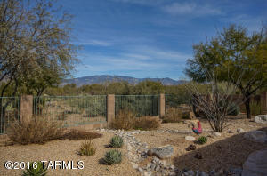 10549 S Coyote Melon Loop, Vail, AZ 85641 photo 31