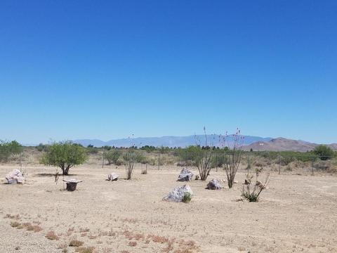 2685 N Circle I Rd, Willcox, AZ 85643 photo 43