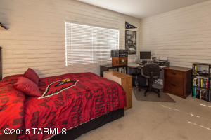 101 E Cholla Shadows Dr, Tucson, AZ 85704 photo 20