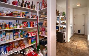 13641 E Hampden Green Way, Vail, AZ 85641 photo 20