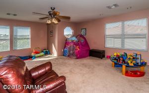 13641 E Hampden Green Way, Vail, AZ 85641 photo 32