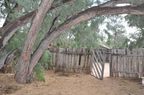 809 E Adams, Tucson, AZ 85719 photo 4