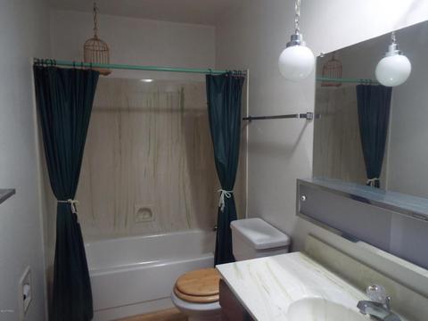 909 W Palomas Dr, Willcox, AZ 85643 photo 7