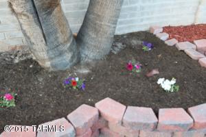 7357 Eli Dr, Tucson, AZ 85710 photo 6