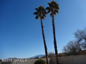 7401 E Riverbank Loop, Tucson, AZ 85715 photo 27