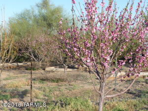 751 N Slate Dr, Vail, AZ 85641 photo 37