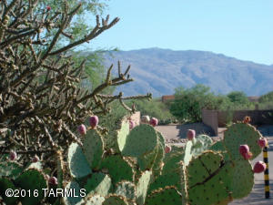 14033 E Anacapa Dr, Vail, AZ 85641 photo 34