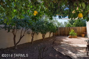 4444 E Old Mill Rd, Tucson, AZ 85712 photo 20