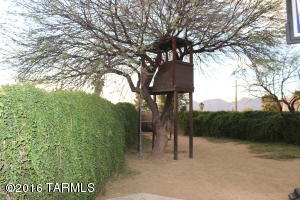10113 E Axe Handle Ct, Tucson, AZ 85748 photo 30