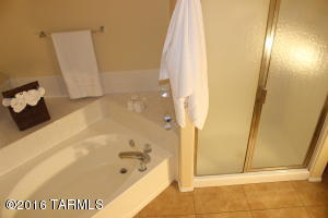 10113 E Axe Handle Ct, Tucson, AZ 85748 photo 20
