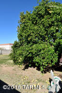 7801 E Silver Beech Dr, Tucson, AZ 85730 photo 31