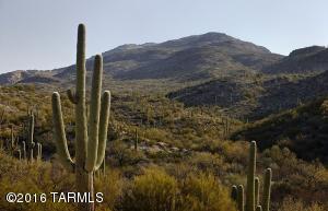 14028 E Voss St, Vail, AZ 85641 photo 16