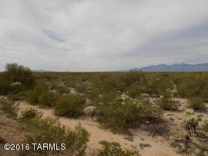 10261 E Hummingbird Meadow Way, Tucson, AZ 85747 photo 23