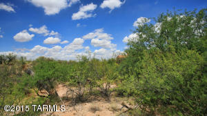 13788 E Langtry Ln, Tucson, AZ 85747 photo 21