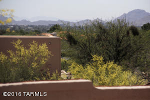 5920 E Verde Pl, Tucson, AZ 85750 photo 40
