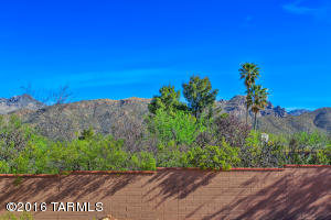 9041 E Snyder Rd, Tucson, AZ 85749 photo 11