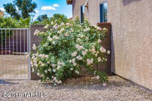 8246 N Equator Loop, Tucson, AZ 85741 photo 34
