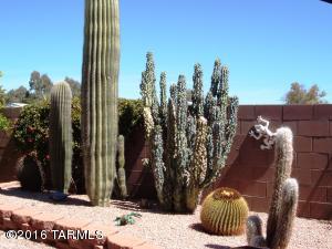 7229 E Maritime Dr, Tucson, AZ 85756 photo 18