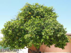 1334 E Ginter Rd, Tucson, AZ 85706 photo 2