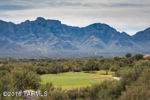 1014 E Desert Glen Dr, Oro Valley, AZ 85755 photo 27