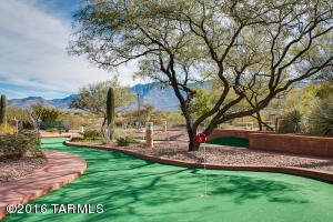 1014 E Desert Glen Dr, Oro Valley, AZ 85755 photo 24
