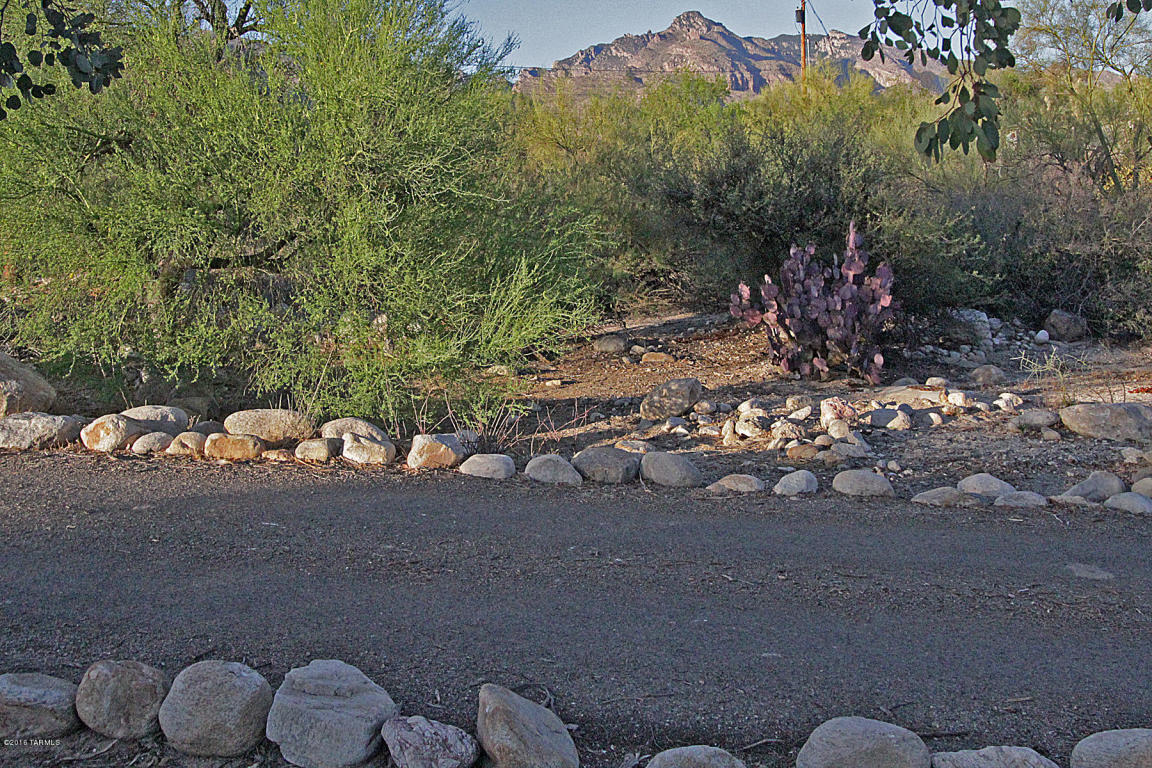 443 E Deone Ln, Tucson, AZ 85704 photo 41