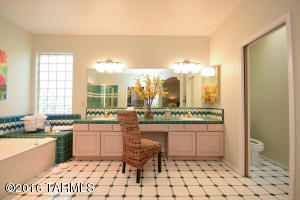 491 E Deers Rest Pl, Tucson, AZ 85704 photo 21