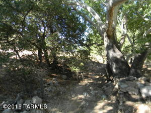 195 E Ramsey Canyon Rd, Hereford, AZ 85615 photo 36