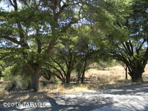 195 E Ramsey Canyon Rd, Hereford, AZ 85615 photo 28