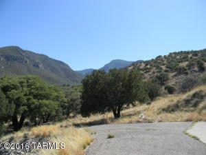 195 E Ramsey Canyon Rd, Hereford, AZ 85615 photo 30