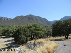 195 E Ramsey Canyon Rd, Hereford, AZ 85615 photo 31