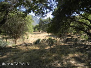195 E Ramsey Canyon Rd, Hereford, AZ 85615 photo 35