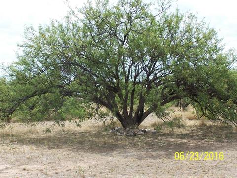 3020 W Clark Rd, Benson, AZ 85602 photo 34