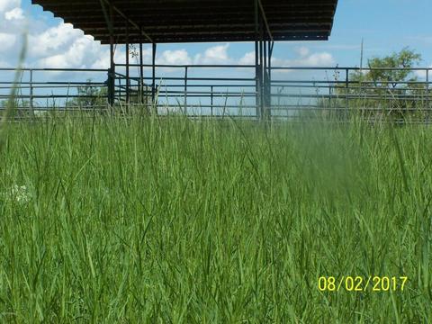 3020 W Clark Rd, Benson, AZ 85602 photo 7