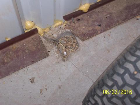 3020 W Clark Rd, Benson, AZ 85602 photo 42