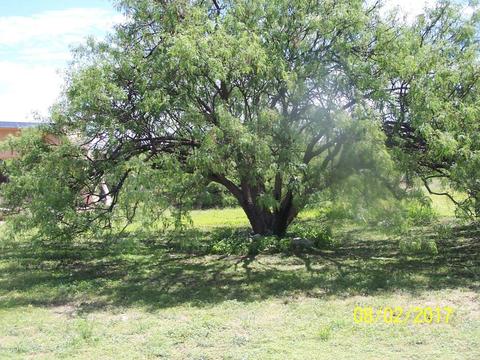 3020 W Clark Rd, Benson, AZ 85602 photo 33