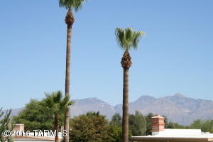 8945 E Maple Leaf Dr, Tucson, AZ 85710 photo 38